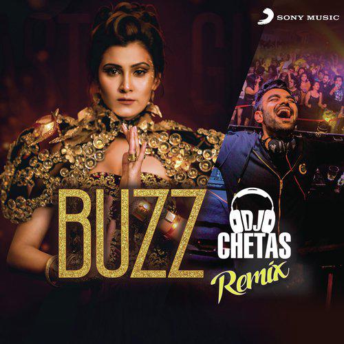 Buzz DJ Chetas Remix - Aastha Gill