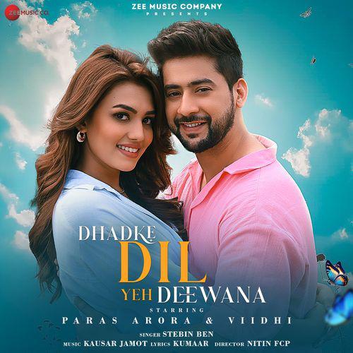 Dhadke Dil Yeh Deewana - Stebin Ben
