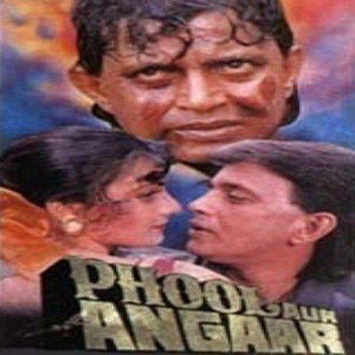 Hum Teri Mohabbat Me - Phool Aur Angaar