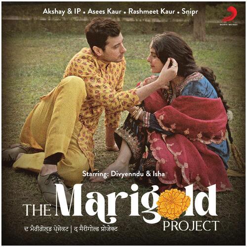 Kashni - The Marigold Project