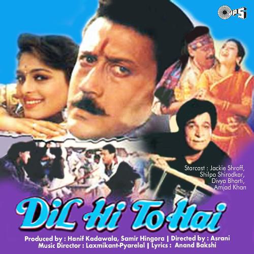 Meri Choodiyan Baje - Dil Hi To Hai