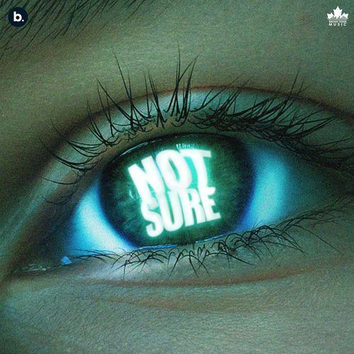 Not Sure - Cheema Y