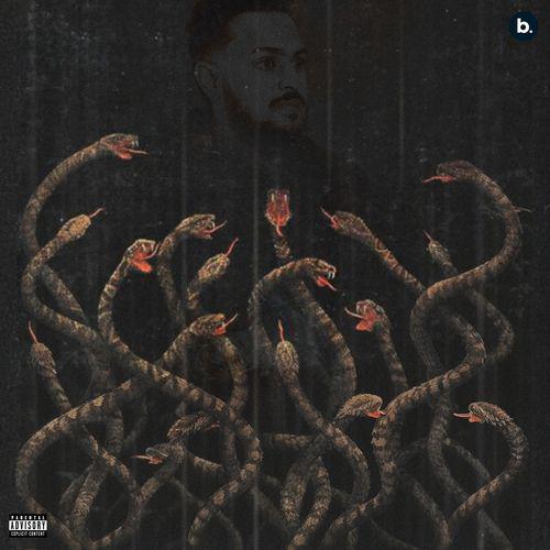 Snake - Cheema Y
