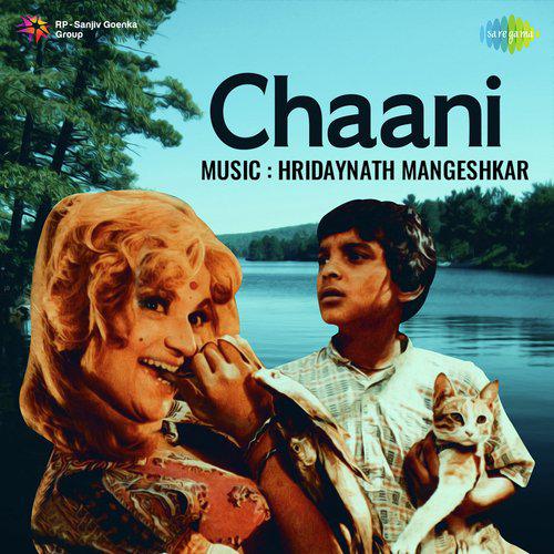 Main To Jaoongi Re Us Paar - Chaani